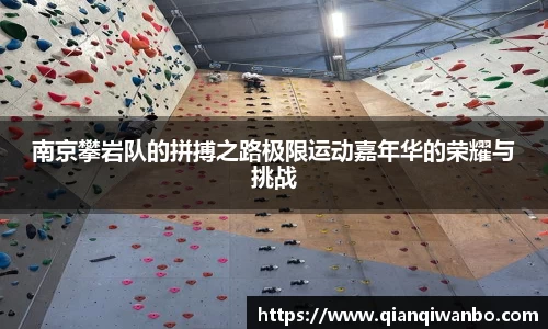 南京攀岩队的拼搏之路极限运动嘉年华的荣耀与挑战
