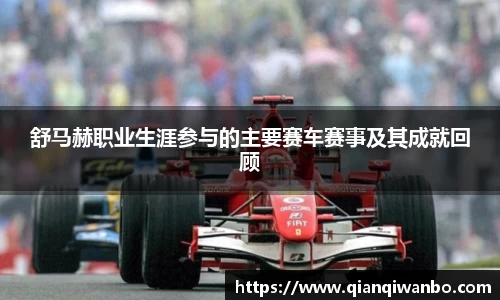 舒马赫职业生涯参与的主要赛车赛事及其成就回顾
