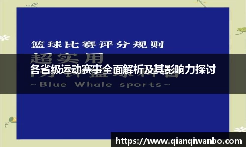各省级运动赛事全面解析及其影响力探讨