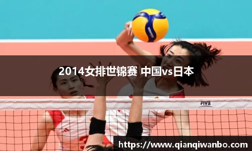 2014女排世锦赛 中国vs日本