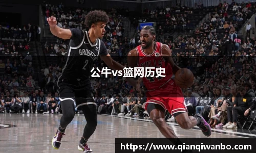 公牛vs篮网历史