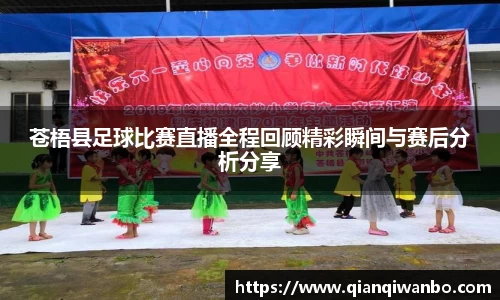 苍梧县足球比赛直播全程回顾精彩瞬间与赛后分析分享